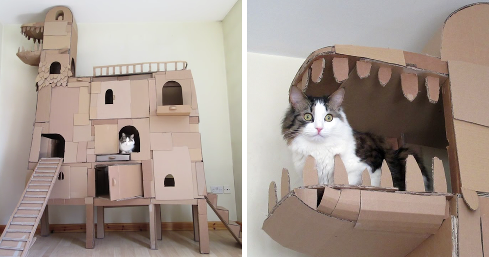 diy-krabpalen-voor-katten