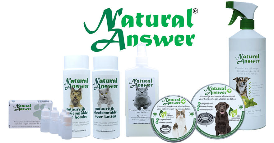 katten-en-natuurlijke-vlooienbestrijding